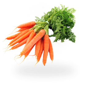 carrot