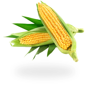 corn