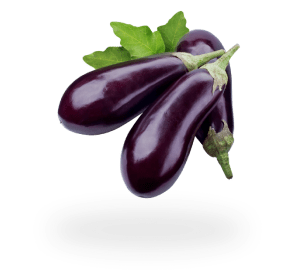 Eggplant