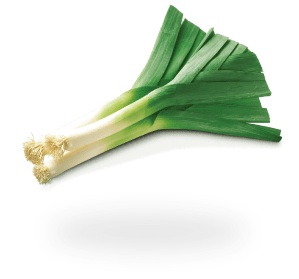 leek