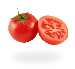 Tomato